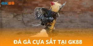 Đá Gà Nòi Cựa Sắt